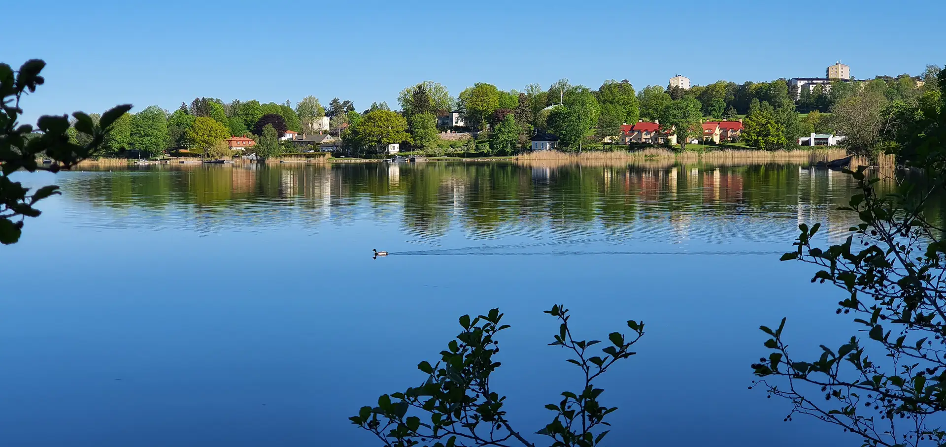 Specialister inom radonsanering i Ludvika