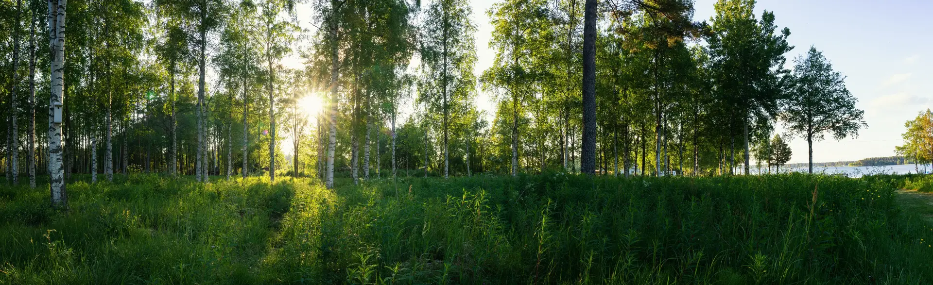 Specialister på ventilationsrengöring i Ludvika